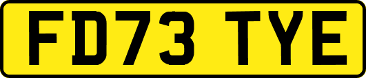 FD73TYE