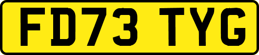 FD73TYG