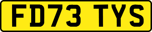 FD73TYS