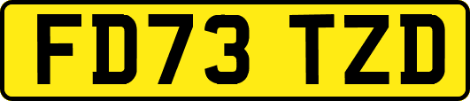 FD73TZD