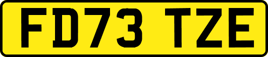 FD73TZE