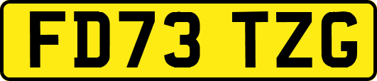FD73TZG