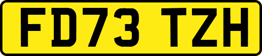 FD73TZH