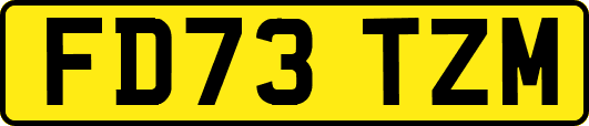 FD73TZM