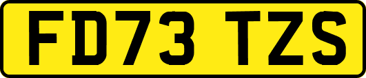 FD73TZS