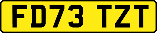 FD73TZT