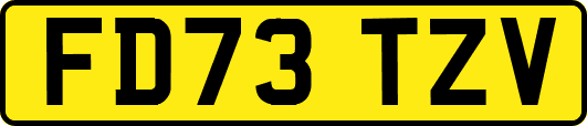 FD73TZV