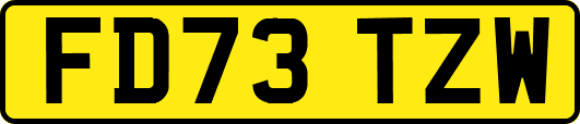 FD73TZW