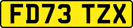 FD73TZX
