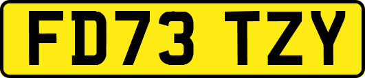 FD73TZY