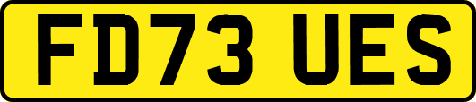 FD73UES