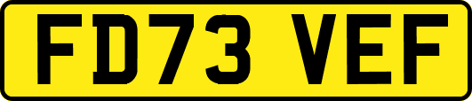 FD73VEF