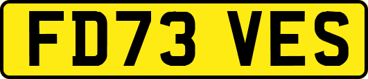 FD73VES