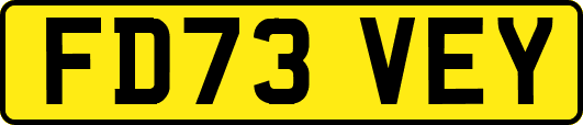 FD73VEY