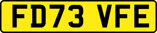 FD73VFE