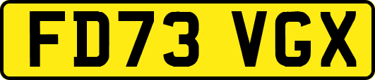 FD73VGX
