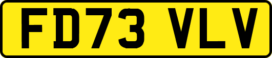 FD73VLV