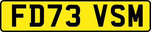 FD73VSM