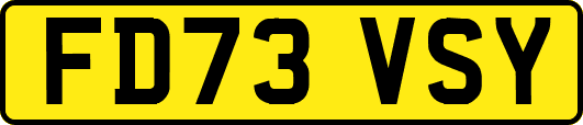 FD73VSY