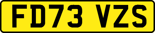 FD73VZS