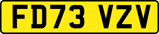 FD73VZV