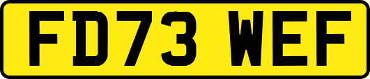 FD73WEF