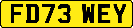 FD73WEY