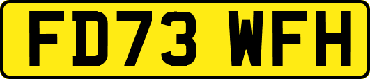 FD73WFH