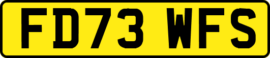 FD73WFS