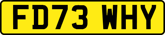 FD73WHY