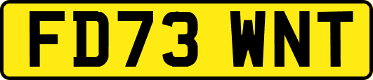 FD73WNT