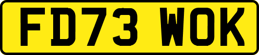 FD73WOK