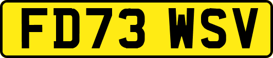 FD73WSV