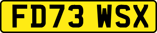FD73WSX