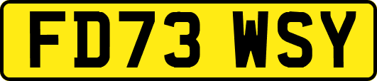 FD73WSY