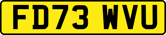 FD73WVU