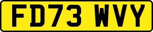 FD73WVY