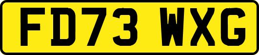 FD73WXG