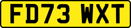 FD73WXT