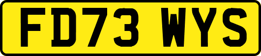FD73WYS