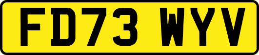 FD73WYV