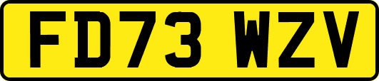 FD73WZV