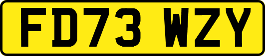 FD73WZY