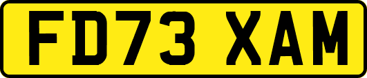 FD73XAM