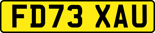 FD73XAU