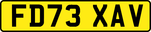 FD73XAV