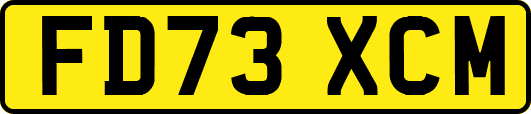 FD73XCM