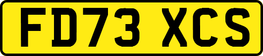 FD73XCS