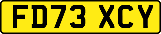 FD73XCY
