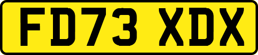 FD73XDX